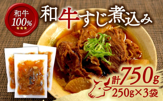 和牛すじ煮込み 3袋セット 750g (250g×3袋) 和牛 すじ煮込み すじ 冷凍 小分け 肉 牛 牛肉 ごはんのお供 個包装 ふるさと納税 おかず おつまみ 晩酌 煮物 木津川市 京都 1463065 - 京都府京都府庁