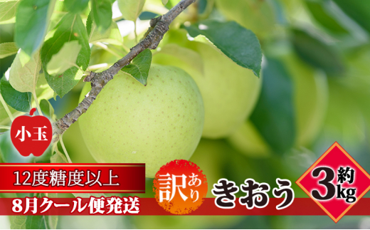 【8月クール便発送】（糖度12度以上）訳あり小玉きおう約3kg【弘前市産 青森りんご】 1388652 - 青森県弘前市