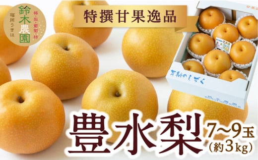 【先行予約】鈴木農園 特撰甘果逸品 豊水梨 7玉から9玉 (約3kg) 2025年8月下旬から9月中旬 出荷予定 252966 - 福岡県うきは市