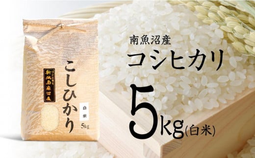 令和6年産 新米】南魚沼産コシヒカリ（無洗米）【5kg×2】【米 お米 こしひかり 南魚沼 米 玄米 白米 無洗米 こめ 新潟 米】 - 新潟県南魚沼市｜ふるさとチョイス  - ふるさと納税サイト