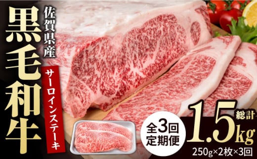 【3回定期便】佐賀県産 黒毛和牛 贅沢 サーロインステーキ 250g×2枚（計500g）【株式会社いろは精肉店】/黒毛和牛 和牛 牛肉 肉 お肉 贅沢 高級 ステーキ  [IAG087] 304902 - 佐賀県白石町