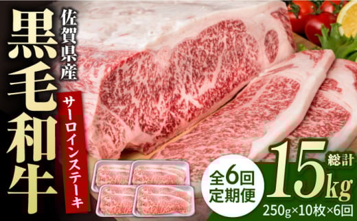 【6回定期便】佐賀県産 黒毛和牛 贅沢 サーロインステーキ 250g×10枚（計2.5kg）【株式会社いろは精肉店】牛肉 国産 肉 和牛 サーロイン ステーキ 冷凍 白石町 九州 定期便 [IAG097] 304912 - 佐賀県白石町