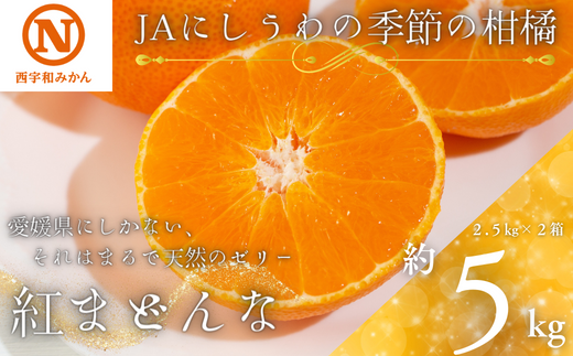 JAにしうわの季節の柑橘(紅まどんな 約2.5kg×2箱)＜H08-50＞【1443404】