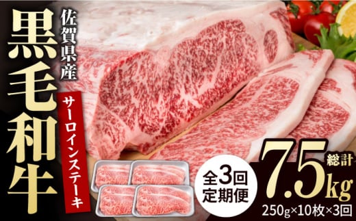 【3回定期便】佐賀県産 黒毛和牛 贅沢 サーロインステーキ 250g×10枚（計2.5kg）【株式会社いろは精肉店】/黒毛和牛 和牛 牛肉 肉 お肉 贅沢 高級 ステーキ  [IAG096] 304911 - 佐賀県白石町