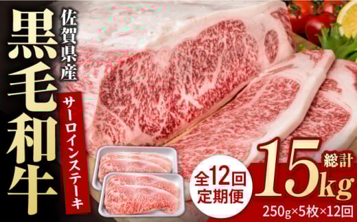 【12回定期便】佐賀県産 黒毛和牛 贅沢 サーロインステーキ 250g×5枚（計1250g）【株式会社いろは精肉店】牛肉 国産 肉 和牛 サーロイン ステーキ 冷凍 白石町 九州 定期便 [IAG095] 304910 - 佐賀県白石町