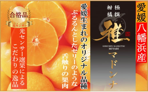 極撰 柑橘 “ 雅 ” 光センサー 合格品