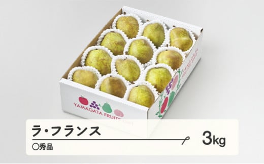 山形県山辺町のふるさと納税 ラ・フランス〇秀品 約3kg(6~12個程度) 洋梨  2024年産 山形県産 ※沖縄・離島への配送不可 tf-lamxx3