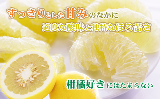 土佐文旦(ぶんたん) (小玉サイズ:M～L混合) 約5kg【株式会社とさ