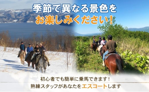 北海道 乗馬体験 40分コース ペア券 ホース トレッキング 絶景 自然 貴重 体験 経験 景色 ふれあい 血統馬 初心者 本格的 のんびり お子様  大人 楽しい レイクトーヤランチ 洞爺湖 - 北海道洞爺湖町｜ふるさとチョイス - ふるさと納税サイト