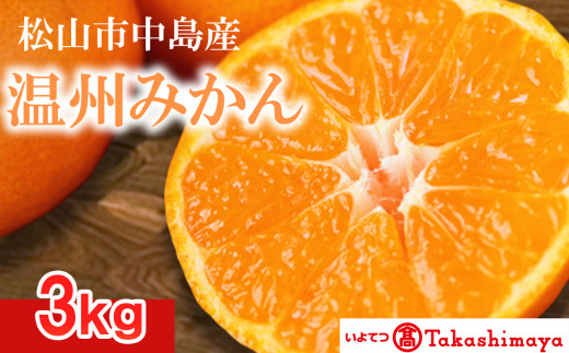 [2024年12月から発送]松山市 中島産 温州みかん 約3kg | 先行予約 蜜柑 ミカン みかん 甘い 柑橘 人気 お取り寄せ 期間 数量 限定 愛媛 松山