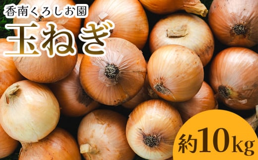 玉ねぎ 10kg 家庭用 先行予約 野菜 高知 大小混合 - 香南市産 国産 たまねぎ タマネギ 玉葱 野菜 オニオンスープ ハンバーグ 常備野菜 保存野菜 香南くろしお園 高知県 香南市 ke-0006 1389433 - 高知県香南市