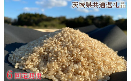 【6ヶ月定期便】【栽培期間農薬不使用】マキタ超こしひかり 玄米5kg×6回【茨城県共通返礼品・行方市産】【おいしい お米 マキタ 減農薬 安心  鹿嶋市】（KBE-44） 1051777 - 茨城県鹿嶋市