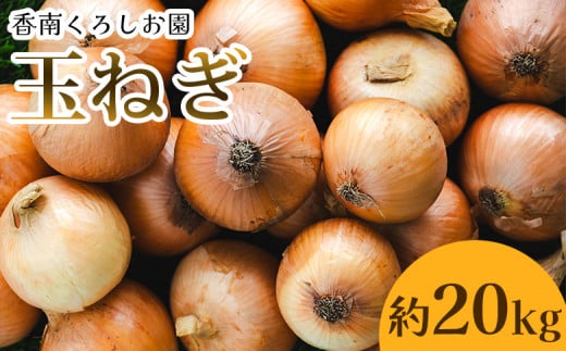 玉ねぎ 20kg 家庭用 先行予約 野菜 高知 大小混合 - 香南市産 国産 たまねぎ タマネギ 玉葱 野菜 オニオンスープ ハンバーグ 常備野菜 保存野菜 香南くろしお園 高知県 香南市 ke-0008 1389435 - 高知県香南市