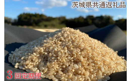 【3ヶ月定期便】【栽培期間農薬不使用】マキタ超こしひかり 玄米10kg×3回【茨城県共通返礼品・行方市産【おいしい お米 マキタ 減農薬 安心  鹿嶋市】（KBE-47） 1051797 - 茨城県鹿嶋市