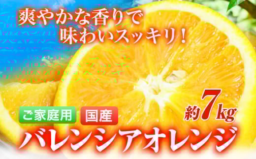 【ご家庭用訳あり】【先行予約】希少な国産バレンシアオレンジ 約7kg 株式会社魚鶴商店《2025年6月下旬-7月上旬出荷》和歌山県 日高町