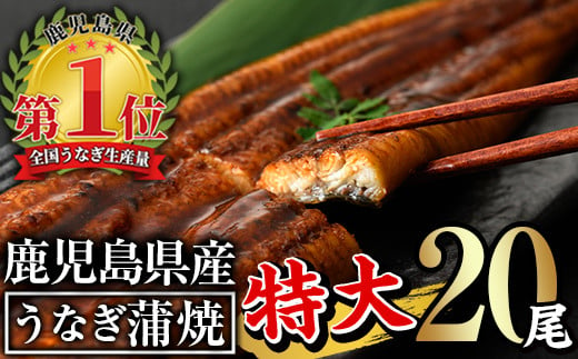 鹿児島県産うなぎ蒲焼セット＜特大＞(計3.2kg・ 約160g×20尾) タレ・山椒付き 鰻 ウナギ 国産【西日本養鰻】E13