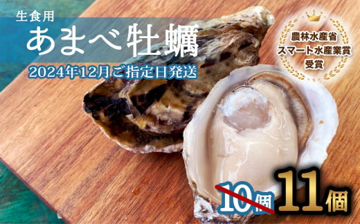 先行予約 あまべ牡蠣 11個 牡蠣 シングルシード 生食用 殻付き かき カキ オイスター 生ガキ 生牡蠣 生がき 生かき ギフト 貝 旨味 【2024年12月発送】 1125739 - 徳島県海陽町