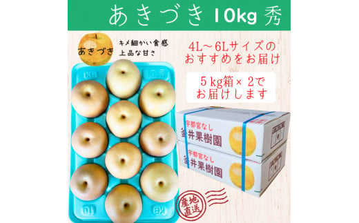 あきづき 10kg 18～24玉 ｜ 栃木県産 宇都宮市 梨 なし あきづき フルーツ 果物　※離島への配送不可　※2024年10月上旬頃～10月中旬頃に順次発送予定 1389625 - 栃木県宇都宮市