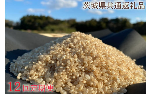 【12ヶ月定期便】【栽培期間農薬不使用】マキタ超こしひかり 玄米5kg×12回【茨城県共通返礼品・行方市産】【おいしい お米 マキタ 減農薬 安心  鹿嶋市】（KBE-45） 1051790 - 茨城県鹿嶋市