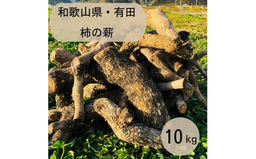 薪 キャンプ用 有田 柿の薪10kg(中太のみ) - 和歌山県有田川町｜ふるさとチョイス - ふるさと納税サイト