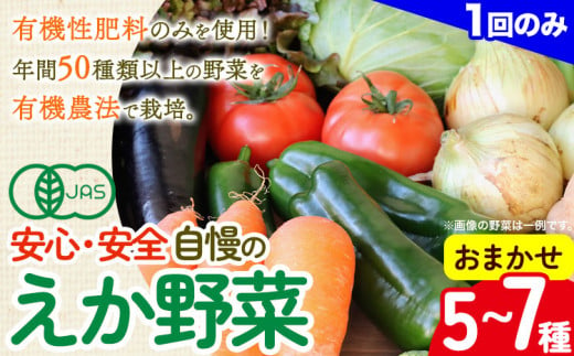 えか野菜 おまかせ5～7種セット 有機JAS認定 株式会社えか自然農場《30日以内に出荷予定(土日祝除く)》千葉県 流山市 オーガニック 無農薬 化学肥料不使用 旬 送料無料 1389972 - 千葉県流山市