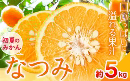 ＜先行予約＞初夏のみかん なつみ約5kg 株式会社 魚鶴商店《2025年4中旬-5上旬頃出荷》 和歌山県 日高町 みかん なつみ 南津海 柑橘 果物 フルーツ 送料無料