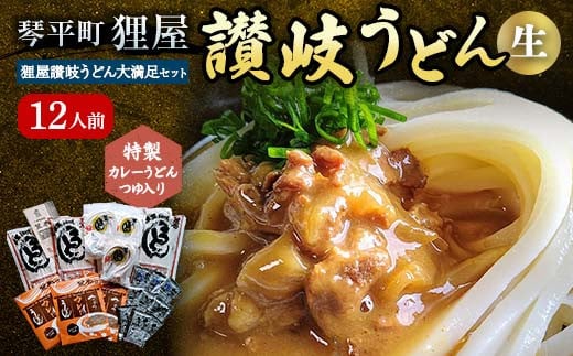 特製カレーうどんつゆ入り 狸屋讃岐うどん大満足セット12人前 4種のつゆ付き 詰合せ 生うどん カレー つゆ うどん 本場 讃岐 讃岐うどん さぬきうどん ご当地 グルメ 名産品 食品 四国 F5J-201 1280927 - 香川県琴平町