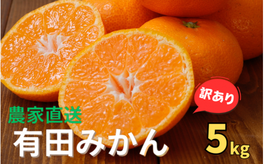 [訳あり]農家直送 有田みかん 約5kg ご家庭用 サイズ混合 ※2024年11月中旬から2025年1月中旬までに順次発送予定(お届け日指定不可)※北海道・沖縄・離島への配送不可 訳ありみかん 温州みかん サイズ混合 有機質肥料100% ふるさと納税 柑橘 有田 産地直送[nuk161]