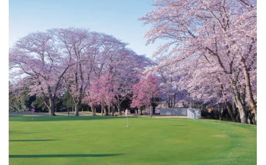 茨城県笠間市のふるさと納税 桜の宮ゴルフ倶楽部  ゴルフプレ－補助券 15000円分