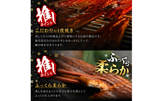 鹿児島県曽於市のふるさと納税 鹿児島県産うなぎ蒲焼きざみセット＜超特大＞(約200g×3尾・きざみ50g×2袋) タレ・山椒付き 鰻 うなぎ 蒲焼 【西日本養鰻】B44