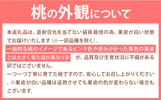 岡山県笠岡市のふるさと納税 桃【2025年先行予約】桃 岡山の桃 約750g 《2025年6月下旬-9月上旬頃出荷》 ご家庭用 訳あり 白桃 岡山 旬 モモ もも 先行予約 送料無料 果物 岡山県 笠岡市 清水白桃 白鳳 白麗 クール便