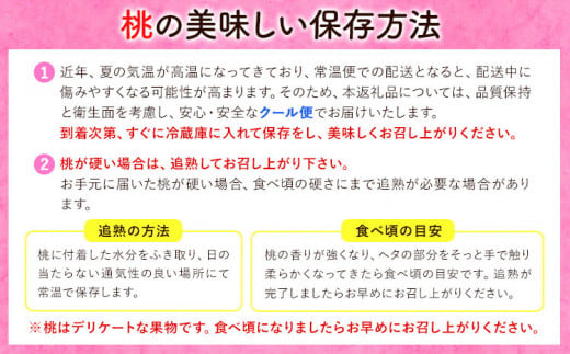 岡山県笠岡市のふるさと納税 桃【2025年先行予約】桃 岡山の桃 約750g 《2025年6月下旬-9月上旬頃出荷》 ご家庭用 訳あり 白桃 岡山 旬 モモ もも 先行予約 送料無料 果物 岡山県 笠岡市 清水白桃 白鳳 白麗 クール便