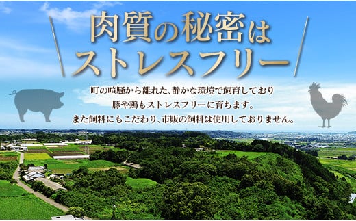 宮崎県新富町のふるさと納税 小分けで便利！10パックでお届け＜訳あり 宮崎県産 豚切落し 5kg＞【C325】