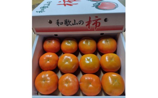 ＜家庭用＞富有柿2kg　S～M　12個【1486495】 1393195 - 和歌山県橋本市