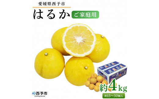 ＜愛媛県西予市産 はるか ご家庭用 約4kg＞約15～30個入 訳あり ご自宅用 果物 フルーツ ハルカ みかん ミカン オレンジ 柑橘類 旬 期間限定 食べて応援 特産品 愛媛県 西予市【常温】 512960 - 愛媛県西予市