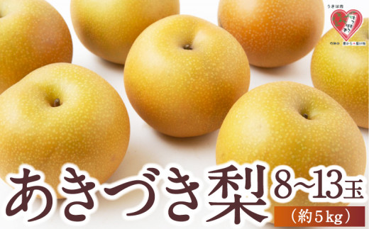 【先行予約】佐藤ファーム あきづき梨 8玉から13玉 (約5kg) 2025年9月上旬から9月中旬 出荷予定 252970 - 福岡県うきは市