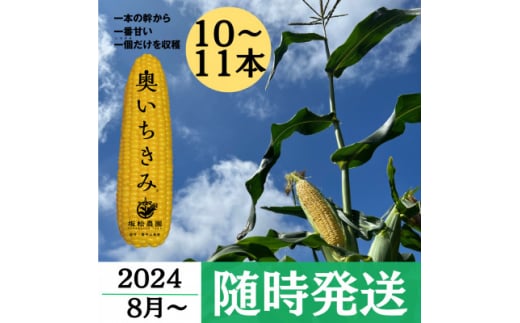 ＜奥いちきみ10～11本入り＞2024年8月より朝採り随時発送(一本の幹から一番甘い一個だけを収穫)【1410484】