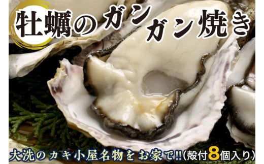 大洗 カキ小屋 カキ食べ放題 ペアチケット 大人2名様 牡蠣 茨城 魚介類 食べ放題 - 茨城県大洗町｜ふるさとチョイス - ふるさと納税サイト