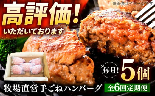 【6回定期便】牧場直営店の手作りハンバーグ（140g×5個）【川崎畜産】 [IAX058] 1389883 - 佐賀県白石町