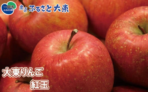 【 先行予約 】大東りんご 紅玉 8～9個 536839 - 岩手県一関市