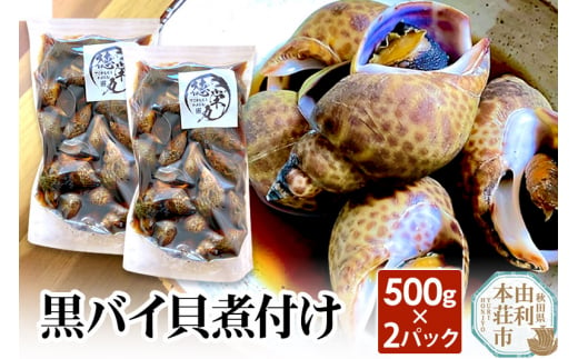 黒バイ貝煮付け 500g×2パック 844388 - 秋田県由利本荘市