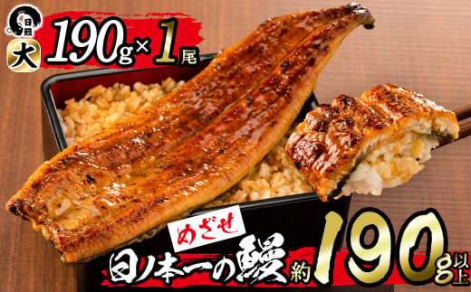 日ノ本一の鰻の蒲焼き＜大＞1尾(約190g以上) a2-067 1390814 - 鹿児島県志布志市