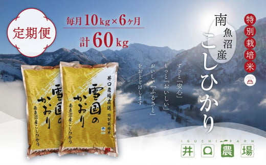 【令和6年産新米予約／令和6年10月上旬より順次発送】【定期便】１０kg×６ヶ月　南魚沼産コシヒカリ 井口農場 こだわりの 特別栽培米 442655 - 新潟県南魚沼市