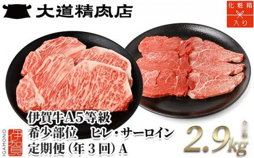 【年3回】伊賀牛 A5ヒレ・サーロイン 定期便A 総合計約2.9kg