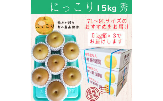 にっこり 15kg 18～24玉 ｜ 栃木県産 宇都宮市 梨 なし にっこり フルーツ 果物　※離島への配送不可　※2024年11月上旬頃～11月中旬頃に順次発送予定 1390000 - 栃木県宇都宮市