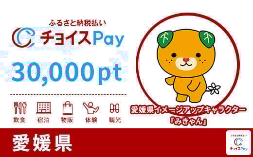 愛媛県チョイスPay 30,000pt（1pt＝1円）
