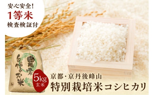 コシヒカリ」のふるさと納税 お礼の品一覧【ふるさとチョイス】 29ページ目