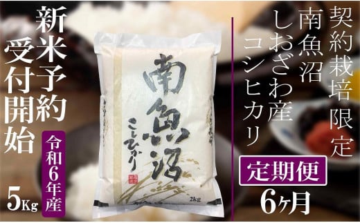 【新米予約・令和6年産】定期便6ヶ月：精米5Kg 契約栽培限定 南魚沼しおざわ産コシヒカリ 1391079 - 新潟県南魚沼市