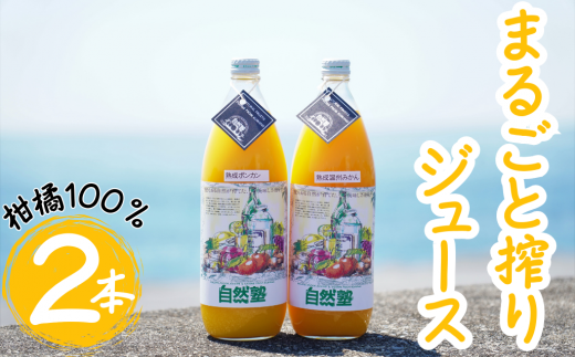 ⑬自然塾　柑橘100%まるごと絞りジュース　２本入り　みかんジュース オレンジ ポンカン 不知火 温州 ドリンク 飲料 飲み物 朝食 無添加 季節 旬 1404079 - 三重県熊野市