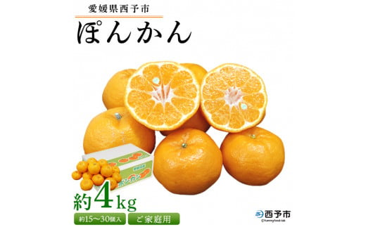 ＜愛媛県西予市産 ぽんかん ご家庭用 約4kg＞約15～30個入り 訳あり 果物 くだもの フルーツ みかん ミカン オレンジ ポンカン 柑橘 特産品 愛媛県 西予市【常温】 509787 - 愛媛県西予市